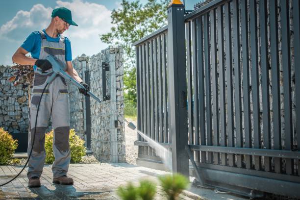 Boat and Dock Cleaning in Mclendon Chisholm, TX