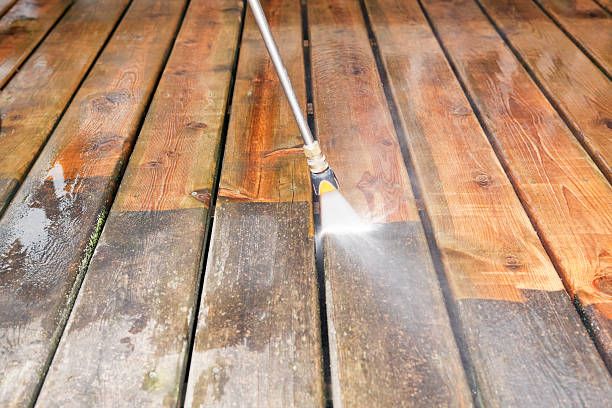 Best Animal Enclosure Cleaning  in Mclendon Chisholm, TX